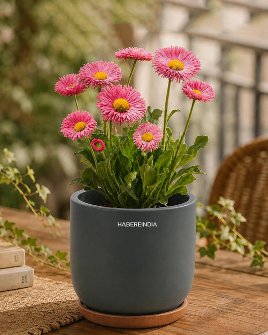 Small Decorative Pot for Home Decoration Items Display