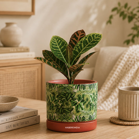 Handcrafted Flower Pot for Garden and Indoor Corners