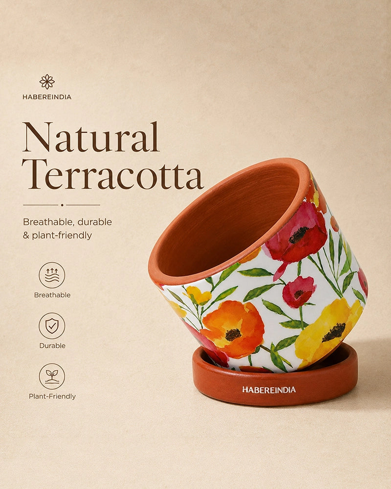 Poppy Floral Print Terracotta Planter with Under Plate (Multicolour)