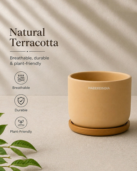 Compact Flower Pot for Living Room Shelf Decor