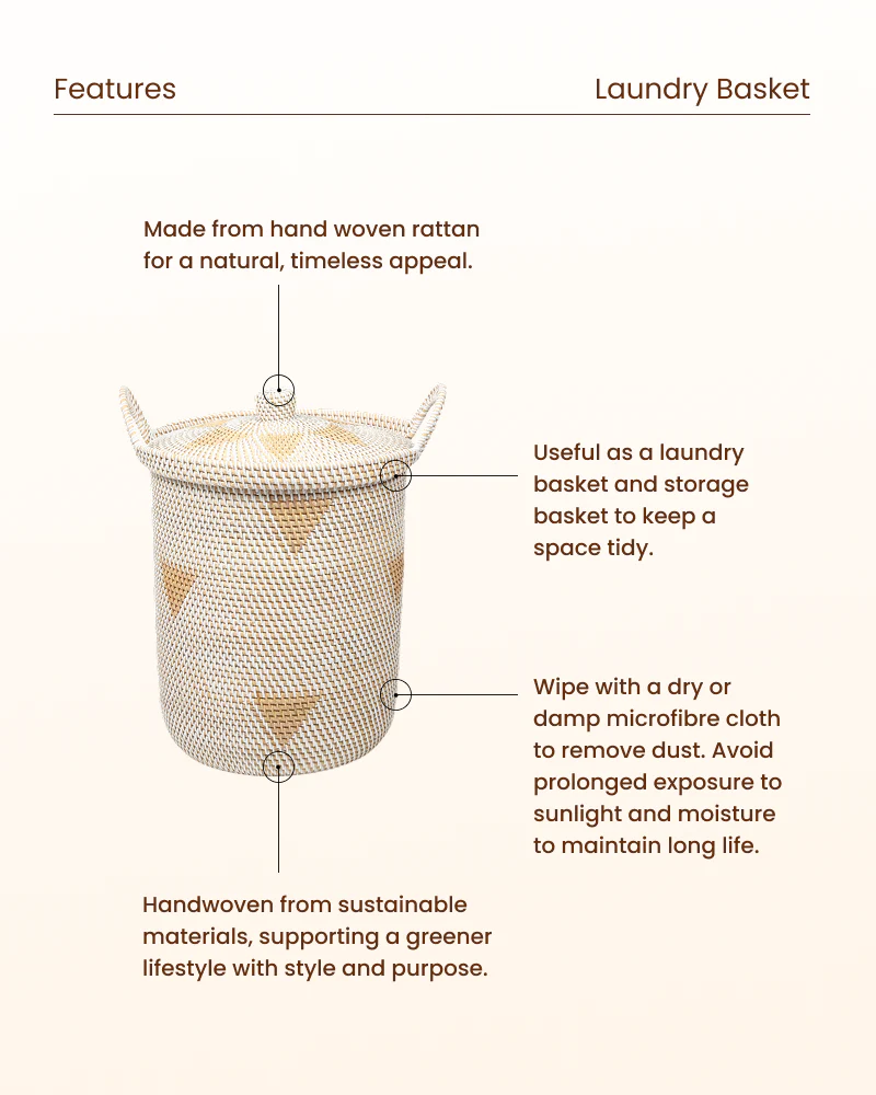 Rattan Storage Basket with Lid for Living Room and Closet