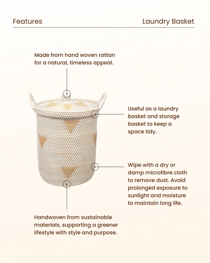 Rattan Storage Basket with Lid for Living Room and Closet