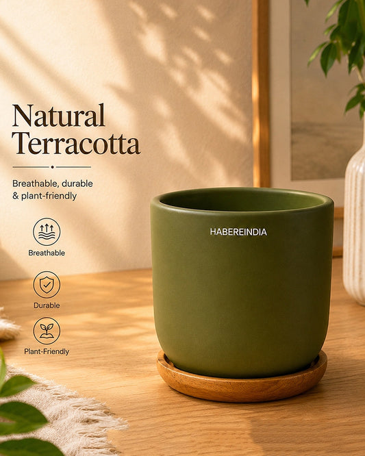Flower Pot for Garden Use and Indoor Room Styling
