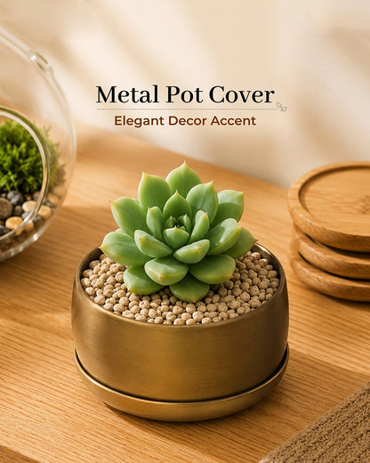 Premium Metal Round Plant Pot with Detachable Plate