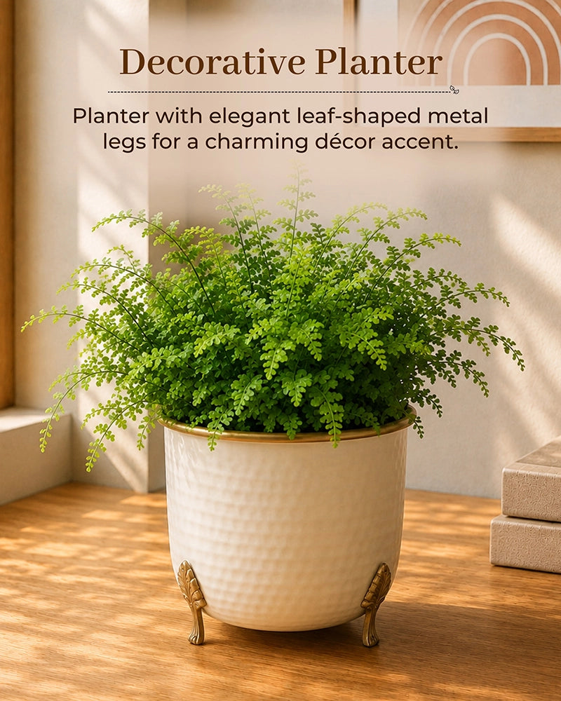 Handcrafted Premium Metal Planter for Home Décor & Living Room, Set of 2