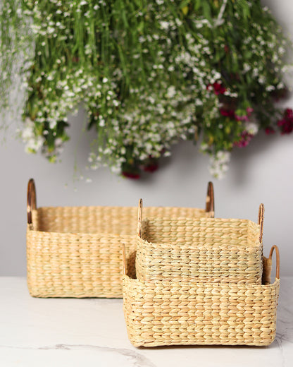 Cane Handle Fruit Hamper Basket