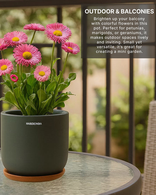Pot for Plants | Terracotta Flower Pot for Living Room Decoration