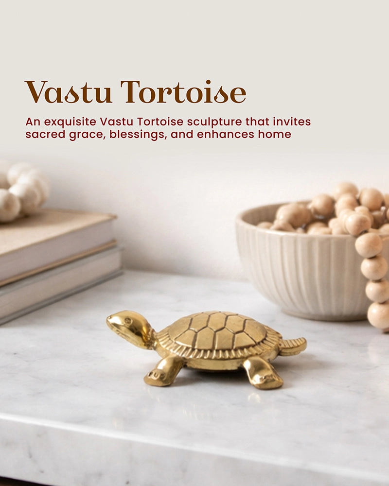 Pure Brass Feng Shui Tortoise for Wealth & Prosperity