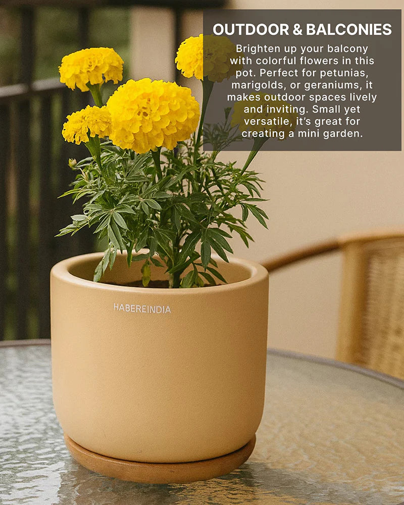 Compact Flower Pot for Living Room Shelf Decor