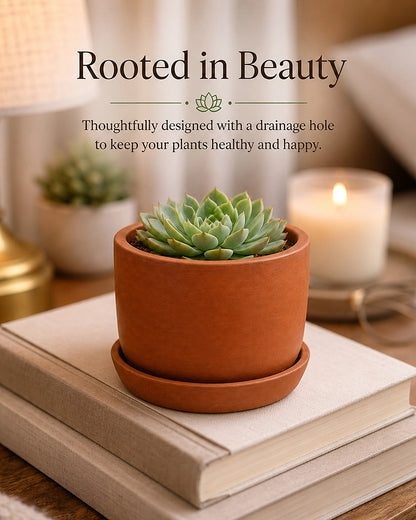 Terracotta Plant Pot with Tray for Gardening, Home Décor, Set of 3