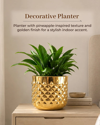 Pineapple Texture Plant Pot for Indoor Greenery & Home Décor