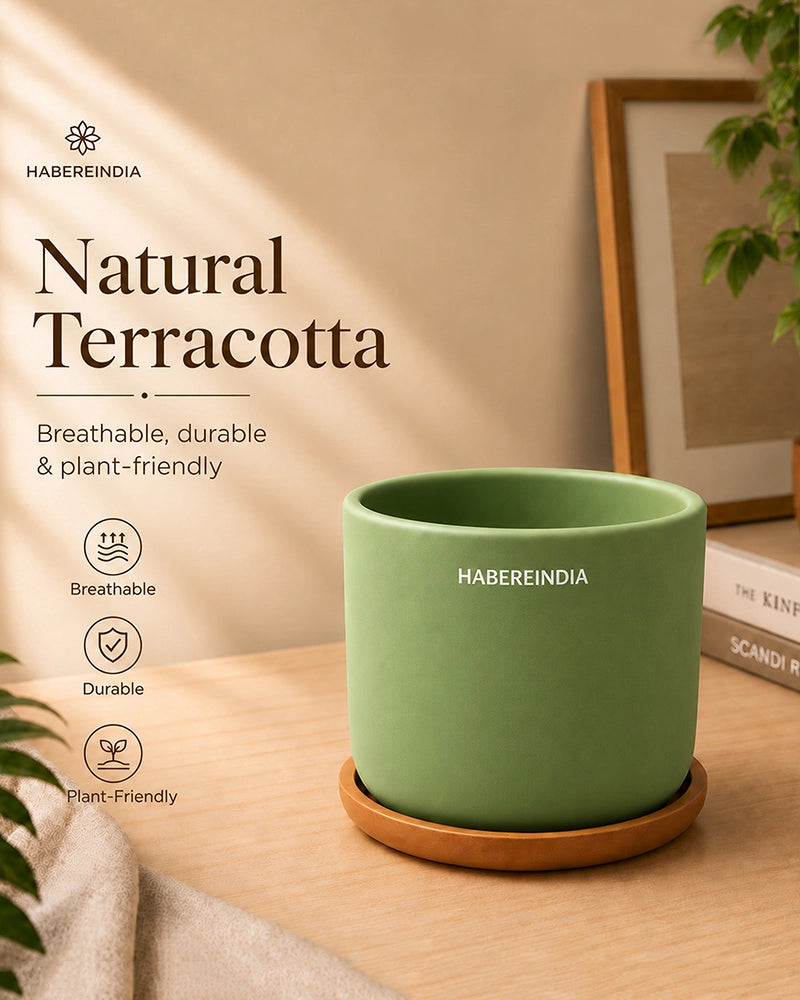 Small Terracotta Pot for Living Room Decoration