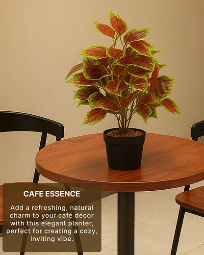 Artificial Plant with Pot for Home Decor and Living Room Decoration