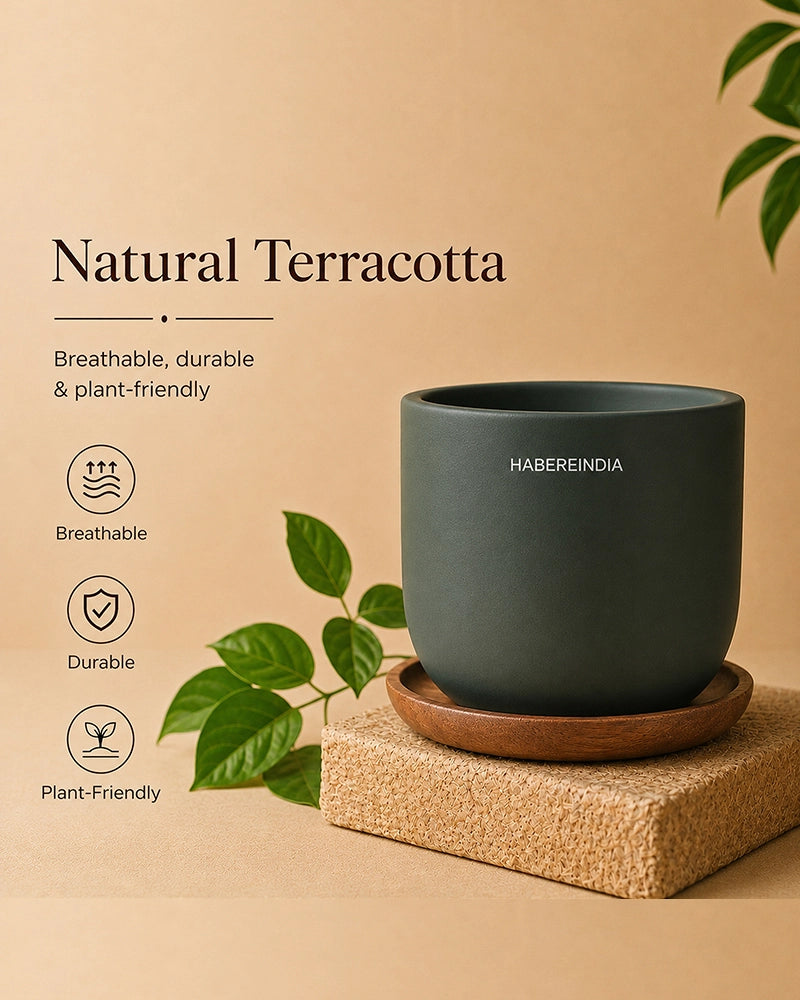 Small Decorative Pot for Home Decoration Items Display