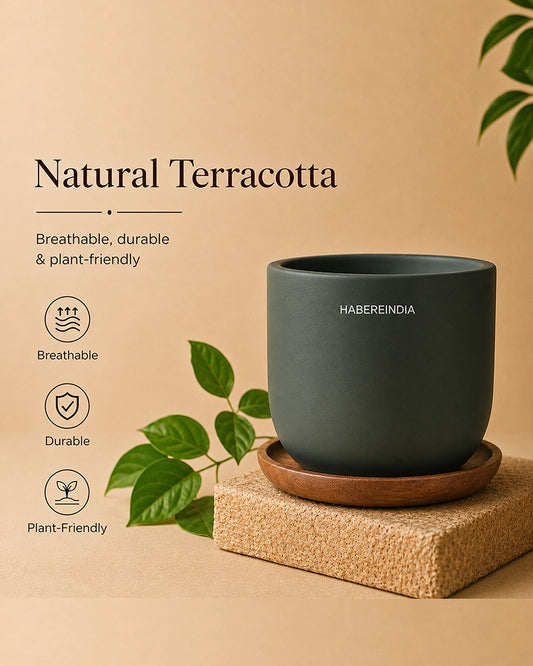 Small Decorative Pot for Home Decoration Items Display