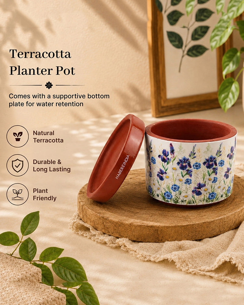 Floral Print Terracotta Planter with Under Plate (Multicolour)