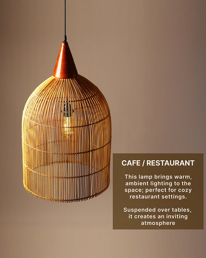 Premium Hanging Lamp for Living Room and Home Ambience