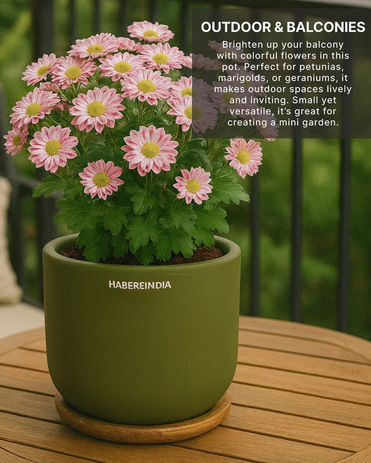 Terracotta Flower Pot For Living Room| Flower Pots for Garden, Dining Table