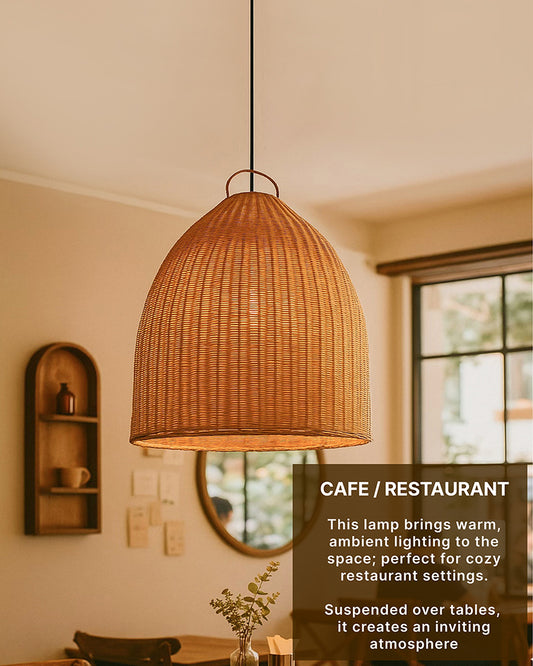 Ceiling Hanging Light for Living Room and Stylish Home Decor