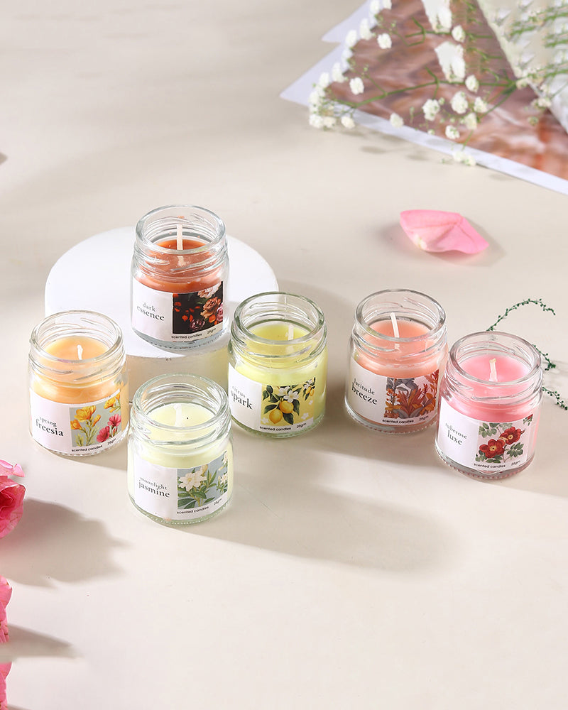Set of 6 Scented Aroma Candles, 26gm Each 6-8H Burn | Fragrance Candle Set for Gifting