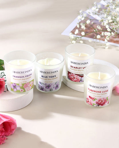 Set of 4 Scented Aroma Candles in Glass | Decorative Fragrance Candle Set | 45gm, 8hr Burn Each