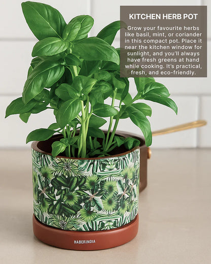 Handcrafted Flower Pot for Garden and Indoor Corners