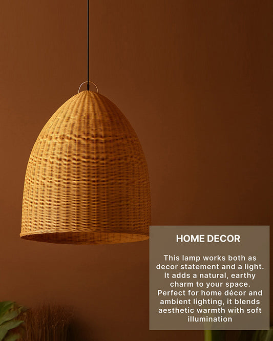 Ceiling Hanging Light for Living Room and Stylish Home Decor