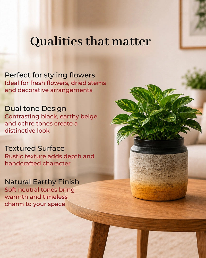 Premium Terracotta Decorative Flower Vase with Textured Finish for Home