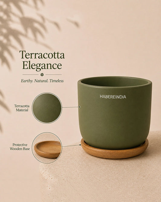 Flower Pot for Garden Use and Indoor Room Styling