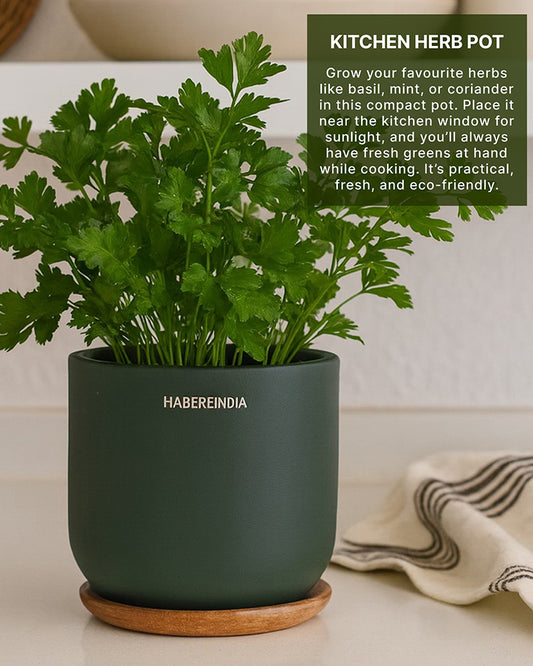 Pot for Plants | Terracotta Flower Pot for Living Room Decoration