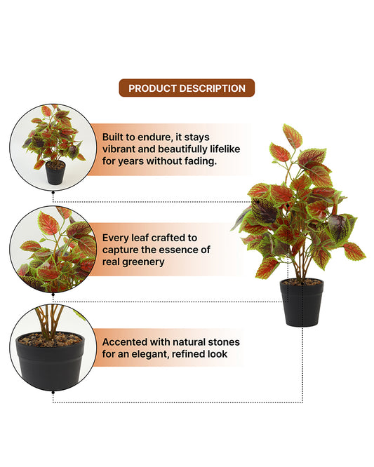 Artificial Plant with Pot for Home Decor and Living Room Decoration