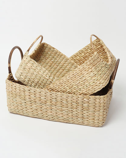 Cane Handle Fruit Hamper Basket