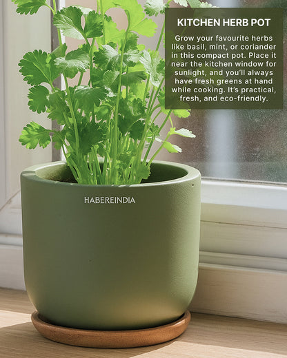 Flower Pots for Garden, Dining Table & Home Decor | Terracotta Flower Pot for Living Room