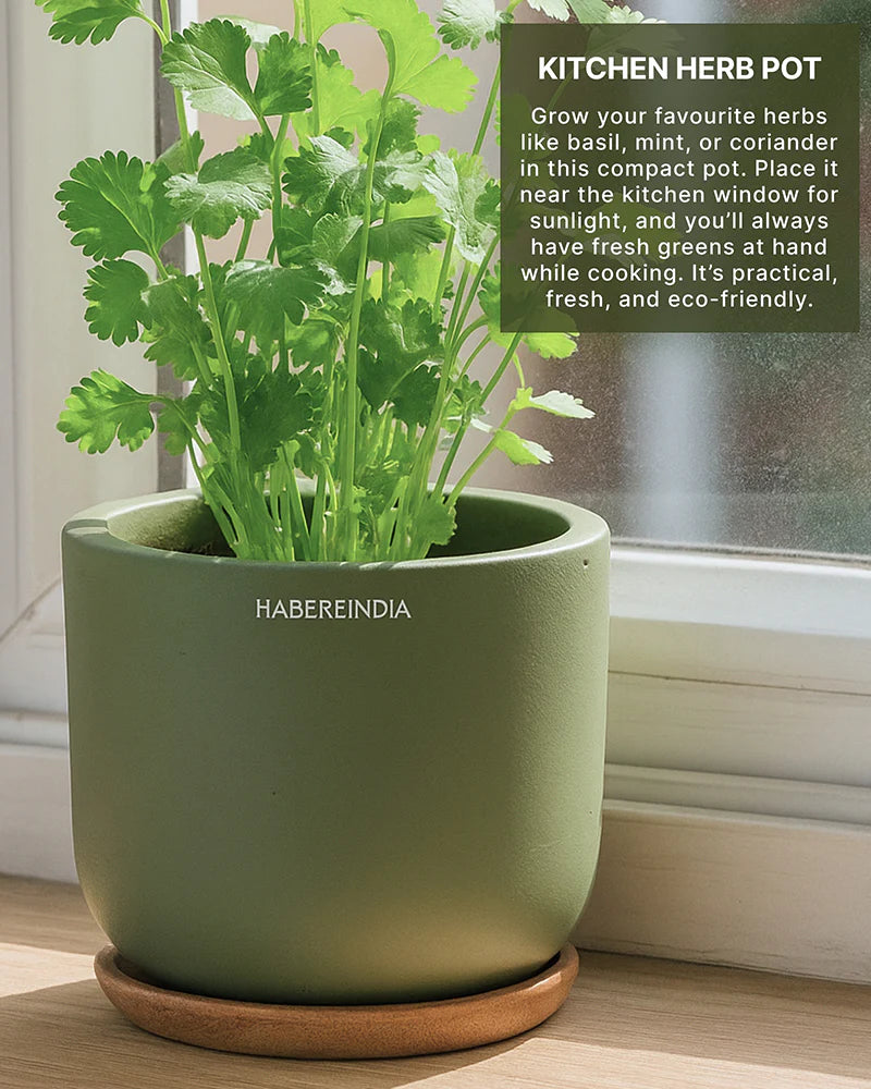 Small Terracotta Pot for Living Room Decoration