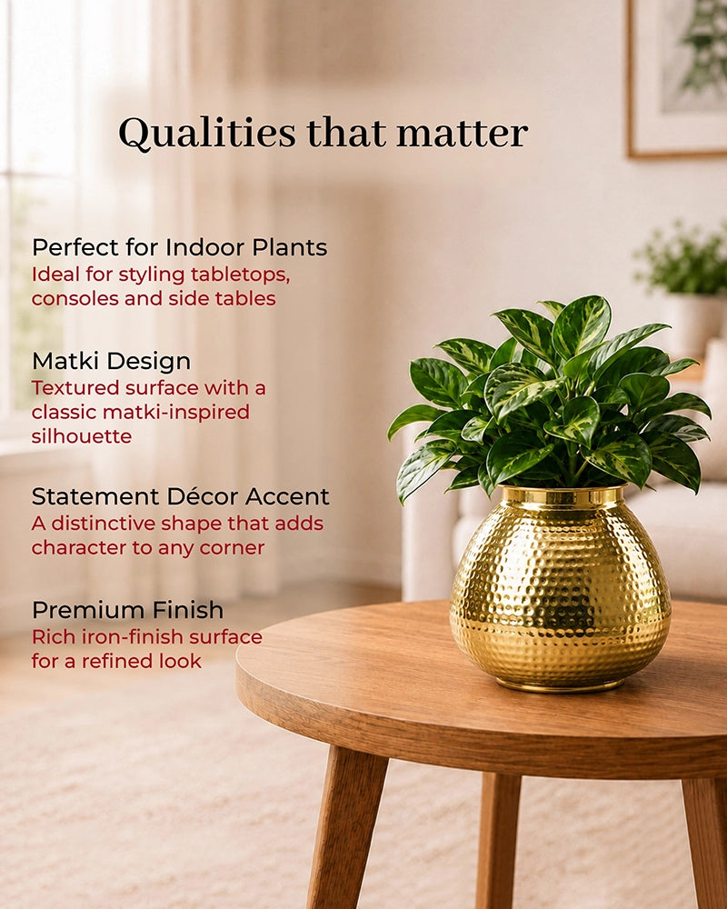 Premium Flower Vase for Living Room, Home Décor & Gifting