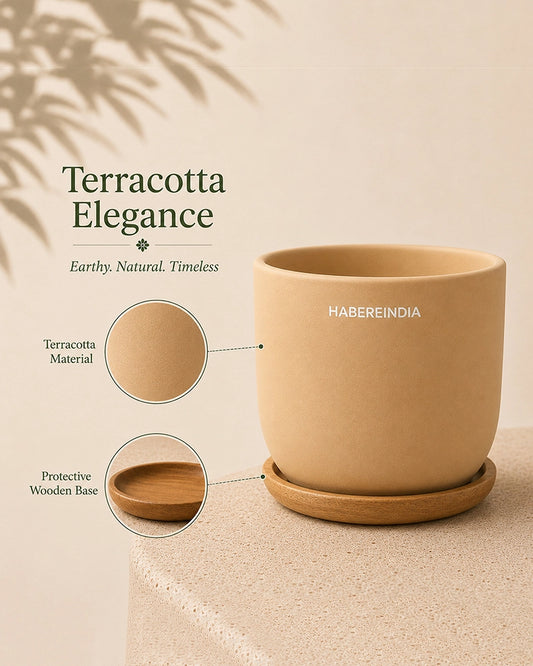 Compact Flower Pot for Living Room Shelf Decor