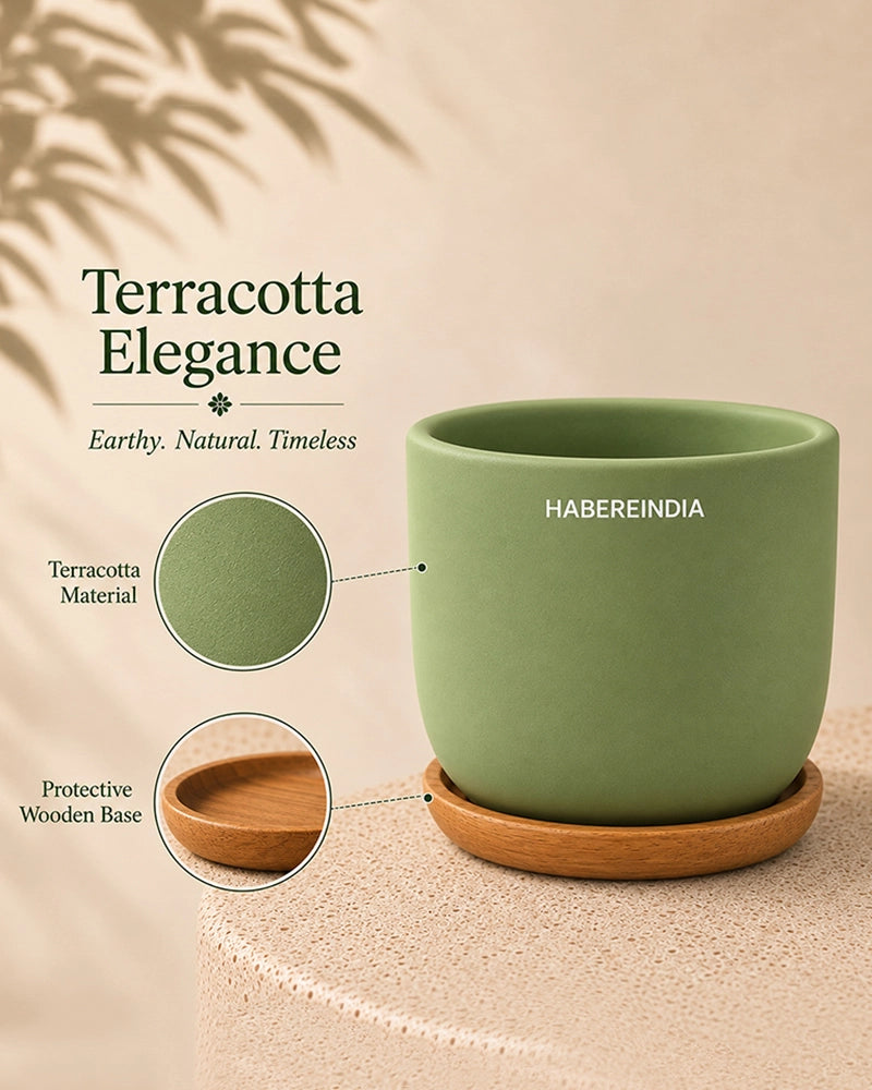 Small Terracotta Pot for Living Room Decoration