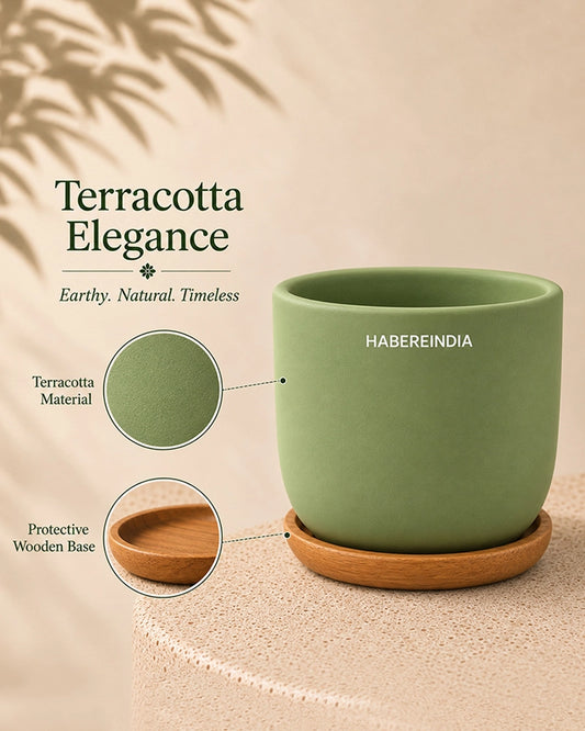 Small Terracotta Pot for Living Room Decoration