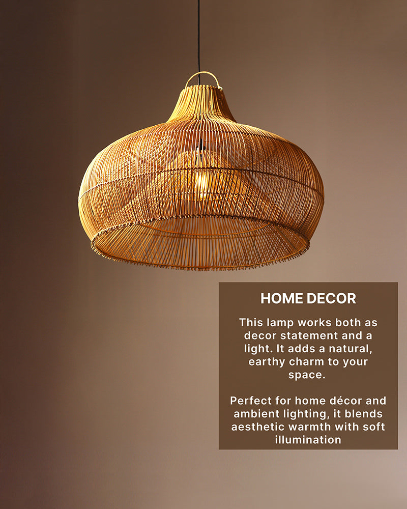 Chic Ceiling Light for Living Room and Minimalist Home Decor