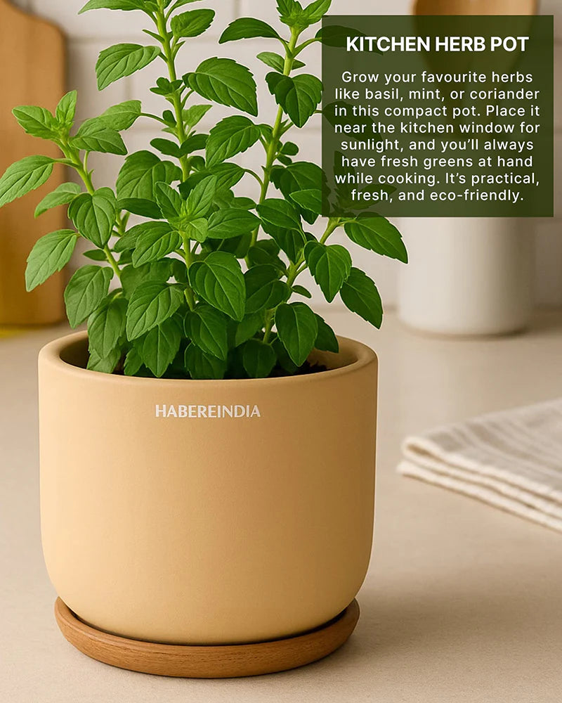 Compact Flower Pot for Living Room Shelf Decor