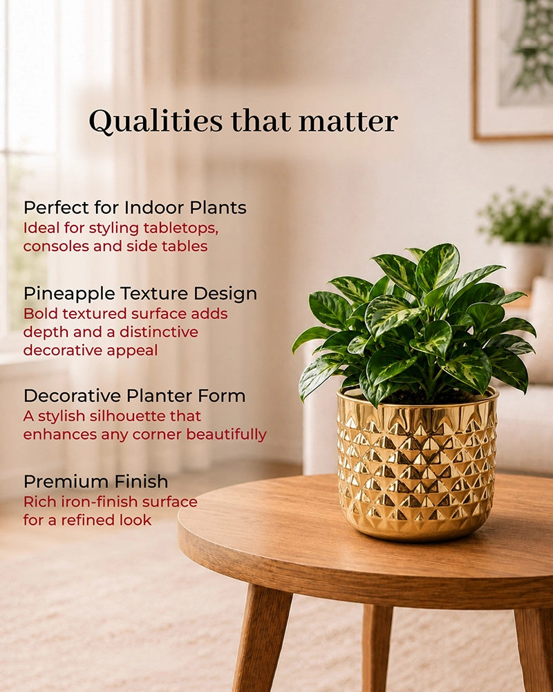 Pineapple Texture Plant Pot for Indoor Greenery & Home Décor