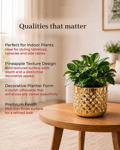 Pineapple Texture Plant Pot for Indoor Greenery & Home Décor