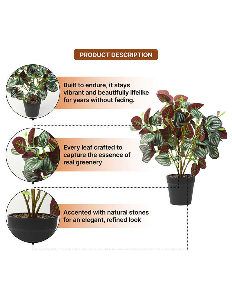 Decorative Artificial Plant with Pot for Living Room and Office Desk Decor