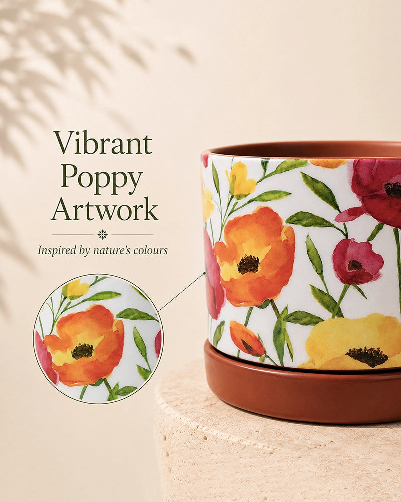 Poppy Floral Print Terracotta Planter with Under Plate (Multicolour)