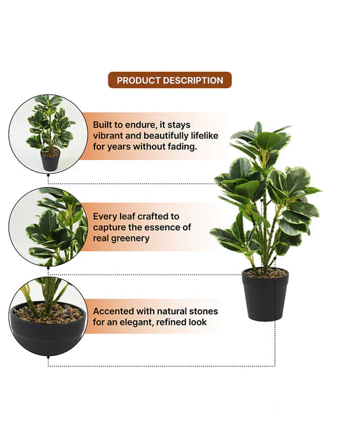 Realistic Artificial Leaves Plant with Pot for Modern Home and Room Decor