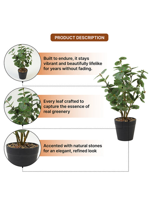 Natural-Look Artificial Plant with Pot for Home Interior and Aesthetic Room Decor