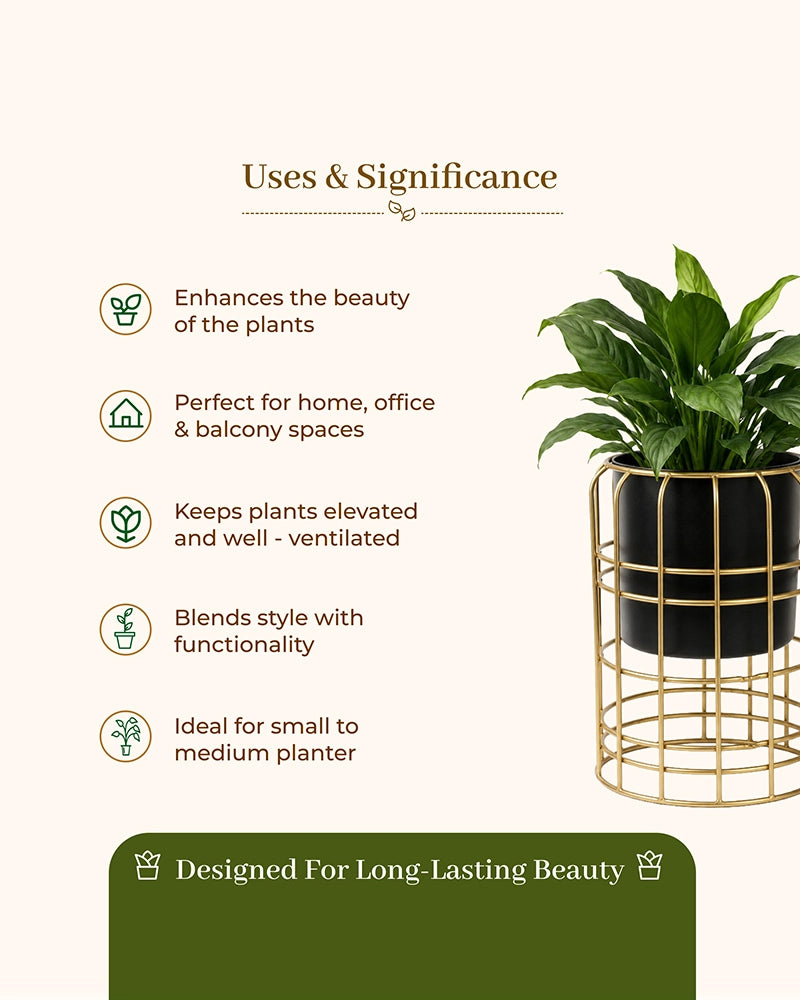 Decorative Metal Plant Pot with Stand for Home & Balcony Garden