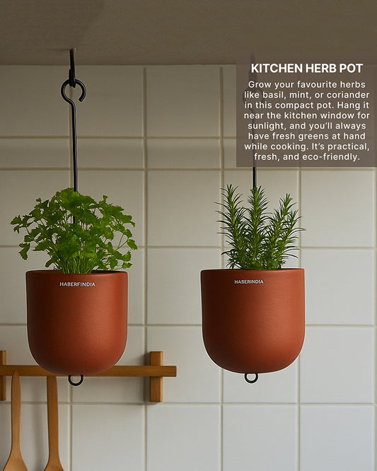 Terracotta Flower Pot for Living Room | Flower Pots for Garden, Dining Table & Home Decor