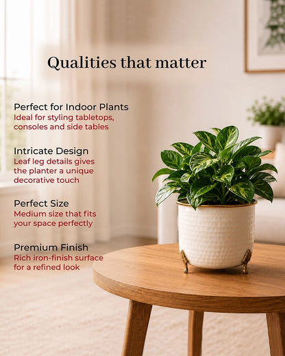 Handcrafted Premium Metal Planter for Home Décor & Living Room, Set of 2