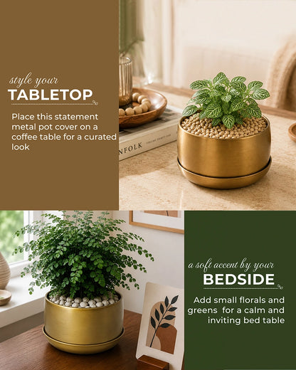 Premium Metal Round Plant Pot with Detachable Plate